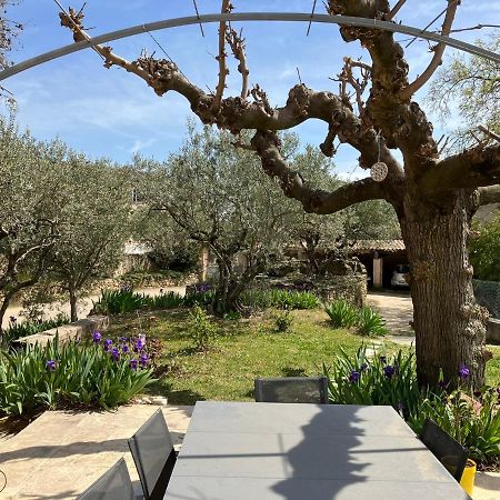 Chambre Avec Petit-Dejeuner En Provence Luberon La Tour-dʼAigues Exteriör bild