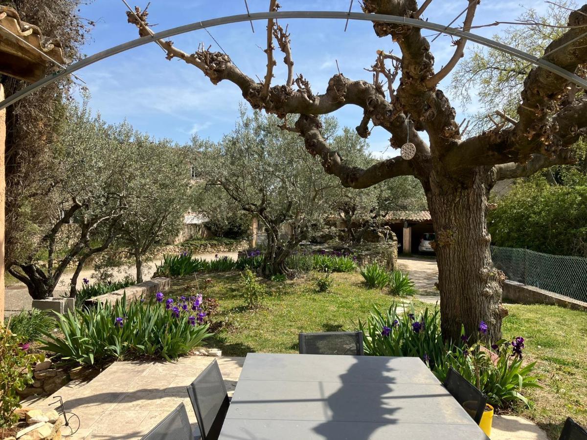 Chambre Avec Petit-Dejeuner En Provence Luberon La Tour-dʼAigues Exteriör bild
